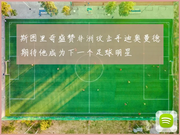 斯图里奇盛赞非洲攻击手迪奥曼德期待他成为下一个足球明星
