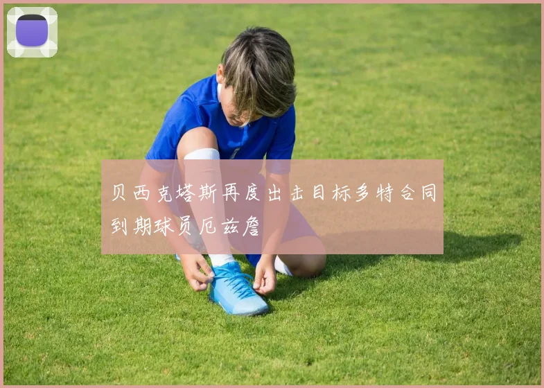 贝西克塔斯再度出击目标多特合同到期球员厄兹詹